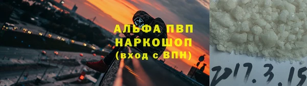 прущие грибы Балабаново